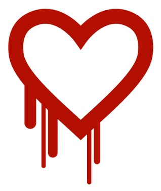 Heartbleed bug