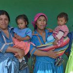 Bnet_Large_Grants_02