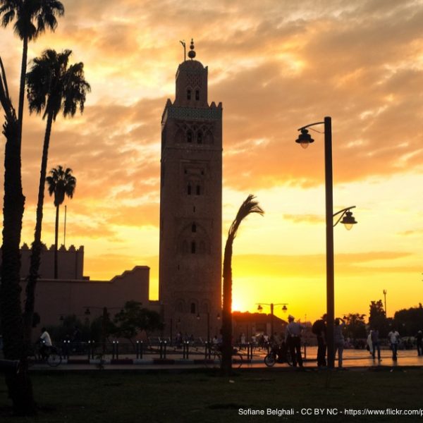 The IANA Stewardship Transition: All Eyes Turn Toward Marrakech (ICANN 55) Thumbnail