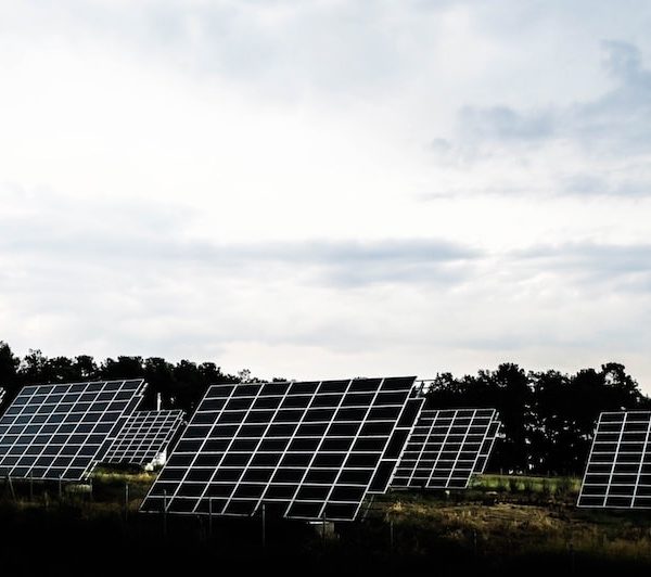 Sustainability in Armenia: ARMIX Adopts Solar Power Thumbnail
