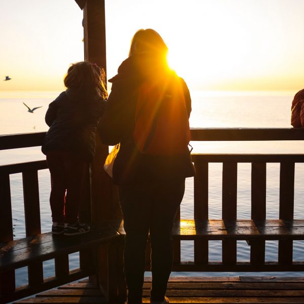 Internet's Future Category Image