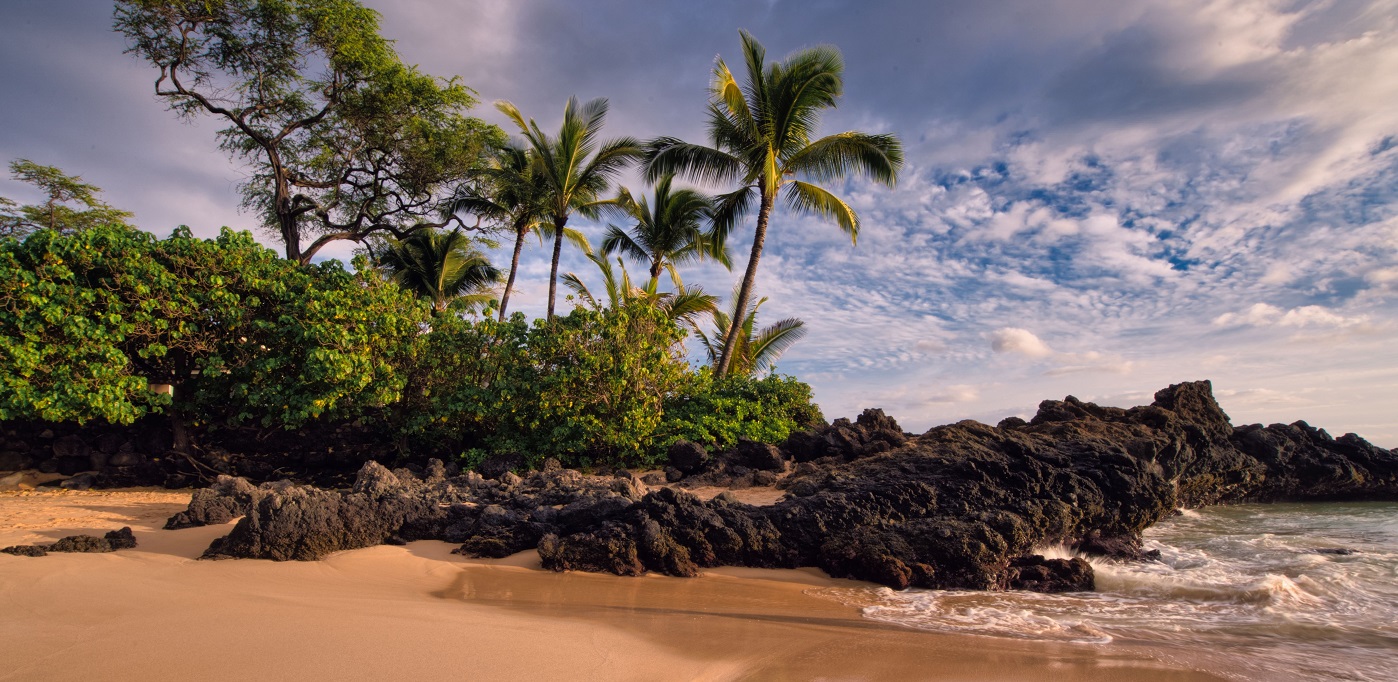 Beyond the Palm Trees: Local Action Key to Fast, Affordable and Reliable Internet Solutions in Rural Hawai’i Thumbnail