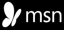 msn logo