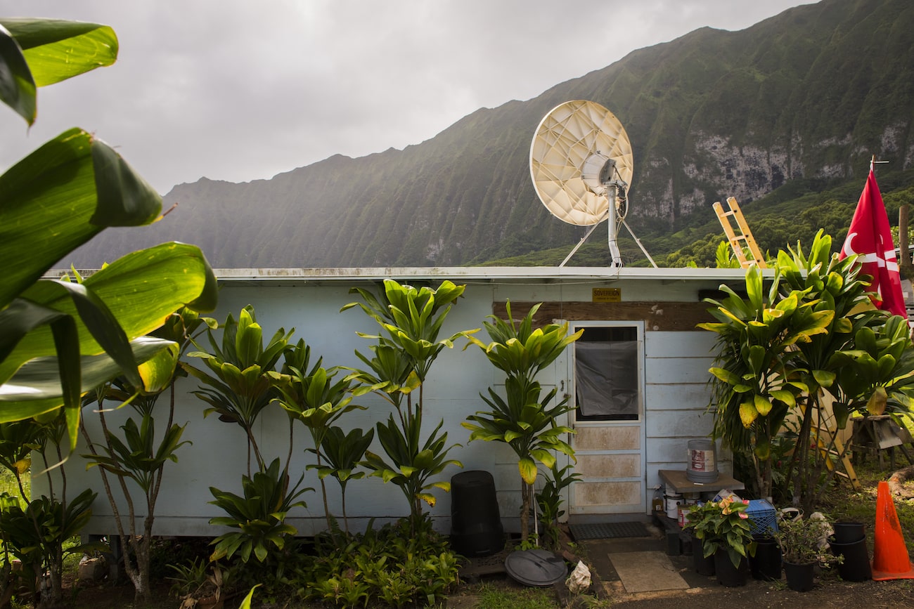 Small house in the mountains surrounded by plants 