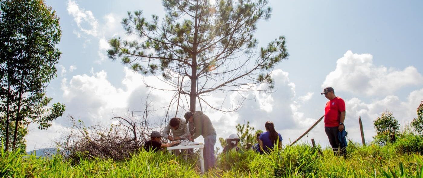 Five people in the field next to some pine trees.