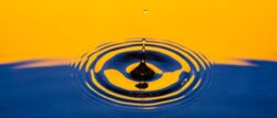 Water droplet in water creating ripples