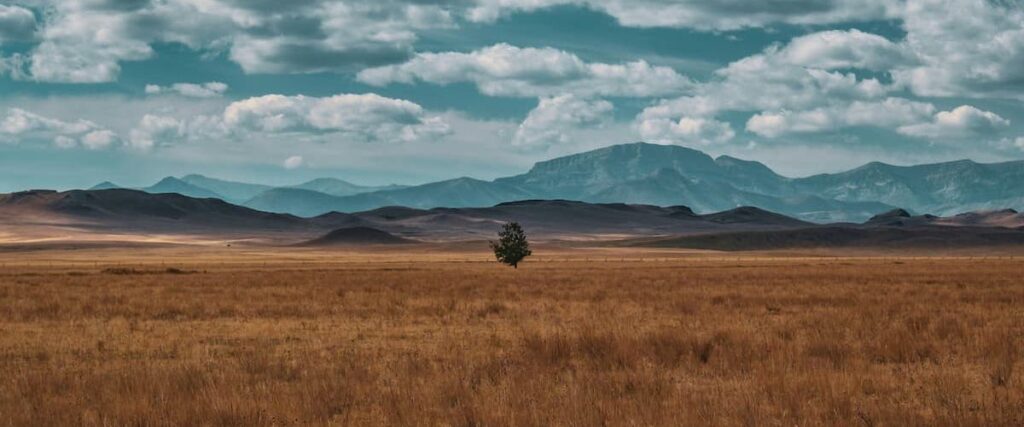 a photo of a field with mountains in the background in Montana