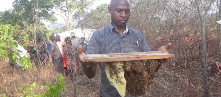 A man holds a beehive connected to a piece of wood