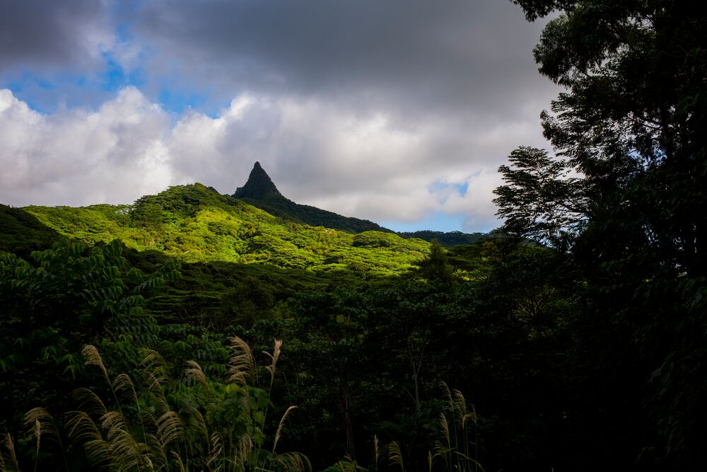 a picturesque mountain and greenery