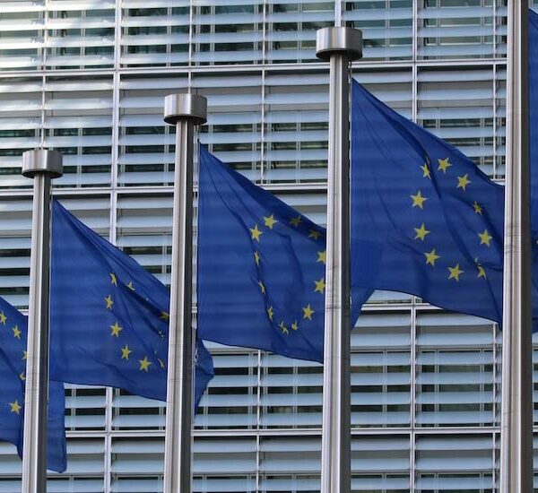 “Fair Share” and the Digital Networks Act (DNA): Three Concerns  Thumbnail