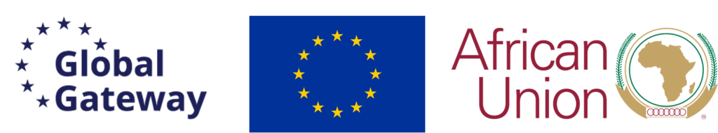 Team Europe logo