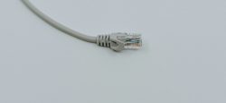 A gray ethernet cable on a gray background